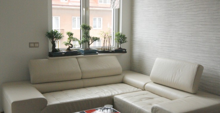 Mieszkanie w centrum